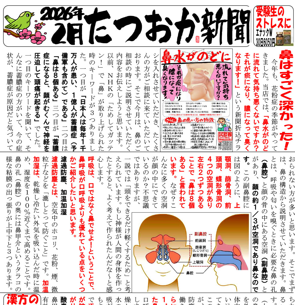 鼻の健康と花粉症対策について
