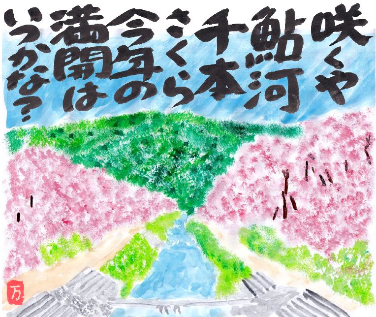 2026年4月絵手紙鮎河の千本桜